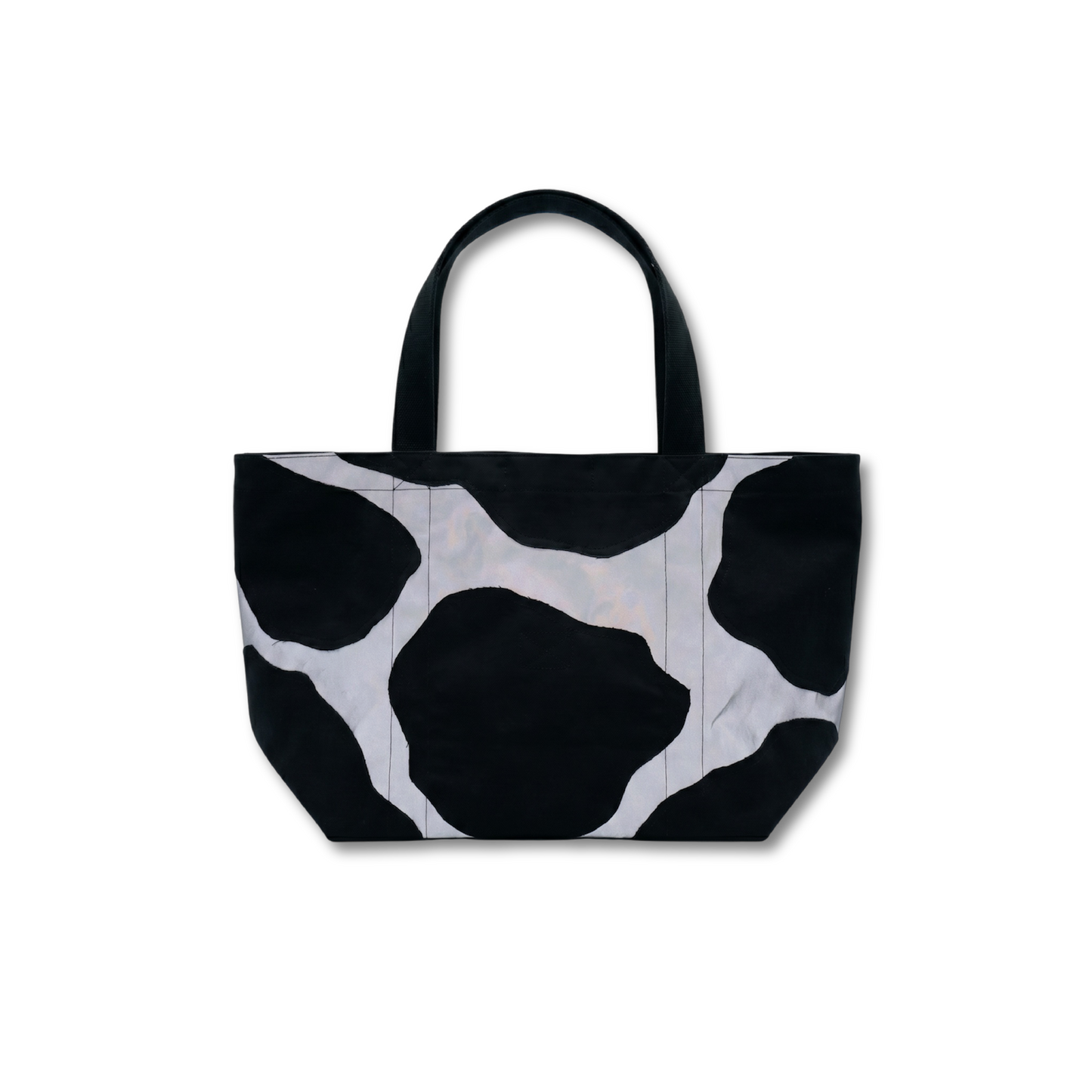 Cracked Bag (Back)