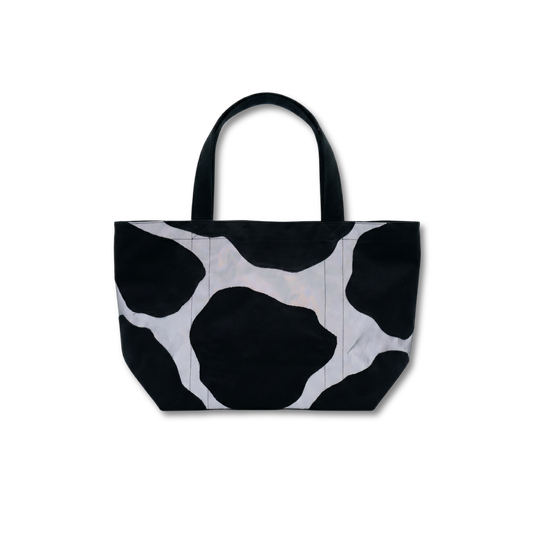 Cracked Bag (Back)